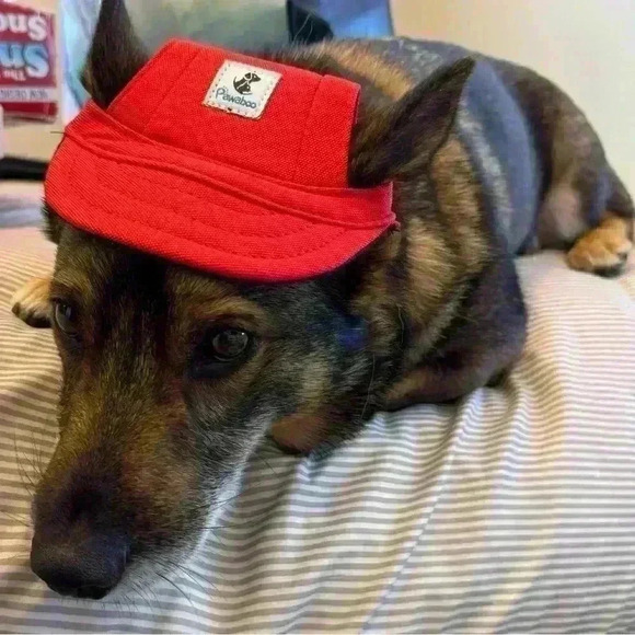 🌈 6/$60, Pawaboo Pet Cap, Small, Red, Neck Strap, Adjustable - Picture 7 of 7